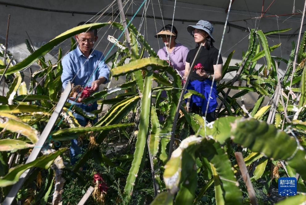捕鱼世界游戏大厅