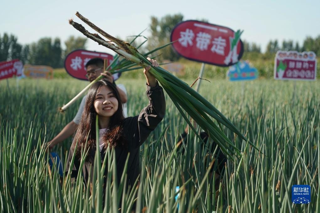 澳门威尼人5003官网